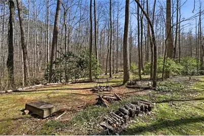 118 Jordan Lane, Talking Rock, GA 30175 - Photo 37