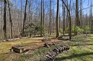 118 Jordan Ln, Talking Rock, GA 30175 - Photo 37