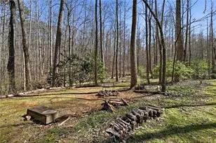 118 Jordan Ln, Talking Rock, GA 30175 - Photo 37