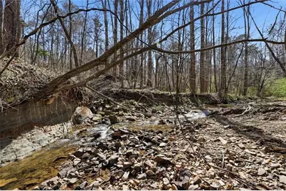 118 Jordan Lane, Talking Rock, GA 30175 - Photo 33