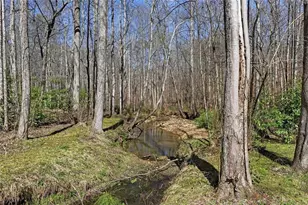 118 Jordan Ln, Talking Rock, GA 30175 - Photo 31