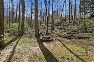 118 Jordan Ln, Talking Rock, GA 30175 - Photo 35