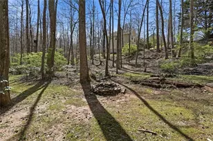 118 Jordan Ln, Talking Rock, GA 30175 - Photo 35