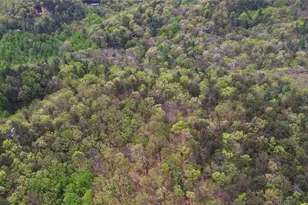 761 Clayton Gooch Rd, Dahlonega, GA 30533 - Photo 43