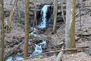 761 Clayton Gooch Rd, Dahlonega, GA 30533 - Photo 35