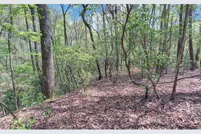 761 Clayton Gooch Road, Dahlonega, GA 30533 - Photo 31