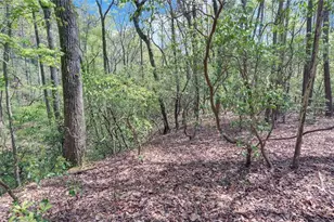 761 Clayton Gooch Rd, Dahlonega, GA 30533 - Photo 31