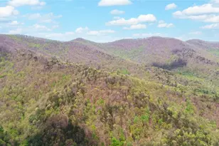 761 Clayton Gooch Rd, Dahlonega, GA 30533 - Photo 45