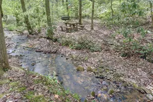 761 Clayton Gooch Rd, Dahlonega, GA 30533 - Photo 29