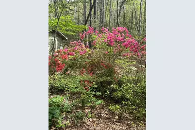 761 Clayton Gooch Road, Dahlonega, GA 30533 - Photo 55