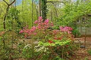 761 Clayton Gooch Rd, Dahlonega, GA 30533 - Photo 33