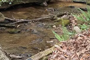 761 Clayton Gooch Rd, Dahlonega, GA 30533 - Photo 3