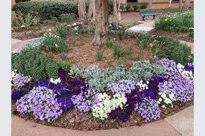 1800 Clairmont Lake #522, Decatur, GA 30033 - Photo 33