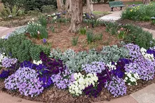 1800 Clairmont Lake, Decatur, GA 30033 - Photo 33