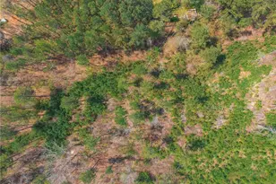 84 Bridle Path Dr, Ball Ground, GA 30107 - Photo 35