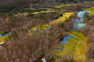 723 Sulphur Springs Rd, Fairmount, GA 30139 - Photo 41