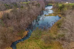 723 Sulphur Springs Rd, Fairmount, GA 30139 - Photo 51