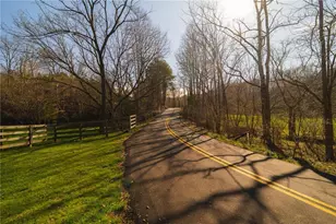 723 Sulphur Springs Rd, Fairmount, GA 30139 - Photo 45