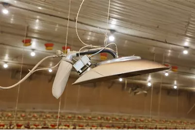 876 Wood Station Road, Rock Spring, GA 30739 - Photo 43