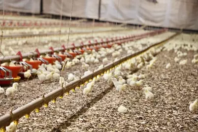 876 Wood Station Road, Rock Spring, GA 30739 - Photo 41