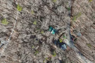 421 Cherokee Ct, Ellijay, GA 30540 - Photo 41