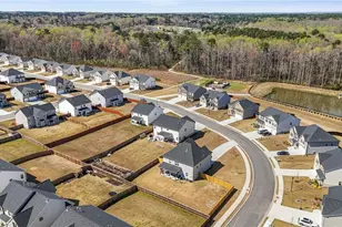 458 Blue Juniper Cir, Loganville, GA 30052 - Photo 59