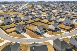 458 Blue Juniper Cir, Loganville, GA 30052 - Photo 57