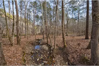 0 Seqouyah Club Drive, Ranger, GA 30734 - Photo 5