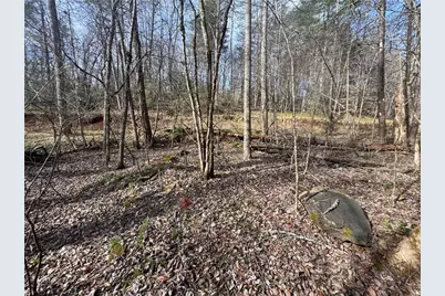 0 Hollybrook Parcel 2 Road, Dahlonega, GA 30533 - Photo 3