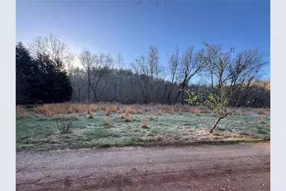 0 Lewis Grindle Parcel 3 Road, Dahlonega, GA 30533 - Photo 7