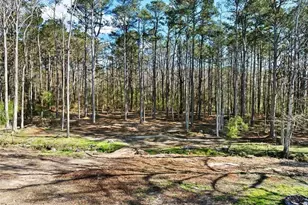 2950 Camp Mitchell Rd, Loganville, GA 30052 - Photo 53