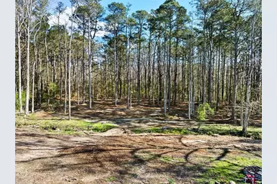 2950 Camp Mitchell Road, Loganville, GA 30052 - Photo 53