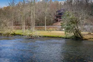 76 Fish Trap Rd, Blue Ridge, GA 30513 - Photo 49