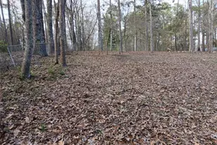 344 Meadowlark Dr, Ringgold, GA 30736 - Photo 17