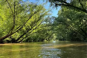 0 Lewis Grindle Parcel 4 Rd, Dahlonega, GA 30533 - Photo 1