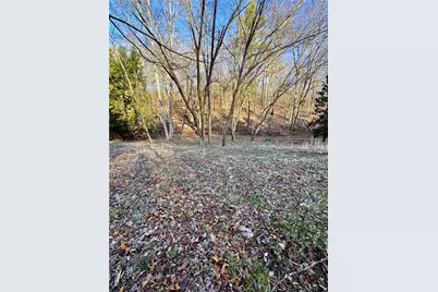 0 Lewis Grindle Parcel 4 Road, Dahlonega, GA 30533 - Photo 7