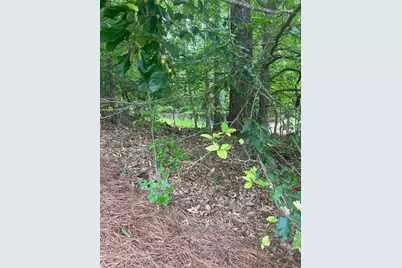 1894 Point River Drive, Duluth, GA 30097 - Photo 5