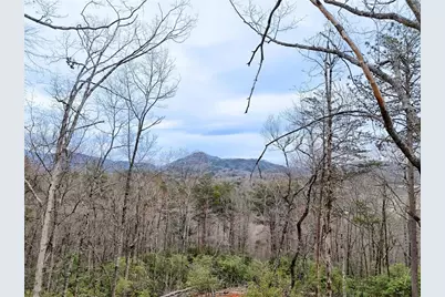 441 Summer Ln, Clayton, GA 30525 - Photo 67