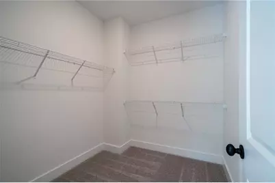 248 Reese Way, Ball Ground, GA 30107 - Photo 35