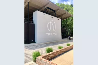 287 Ravenhurst Lane, Fayetteville, GA 30214 - Photo 51