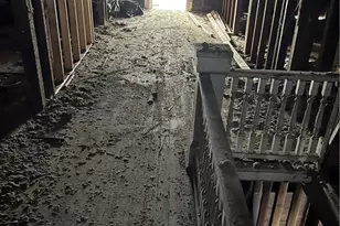 2265 Clayton St, Macon, GA 31204 - Photo 7