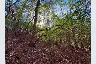 #9 #5 Bethany Road, Jasper, GA 30143 - Photo 7