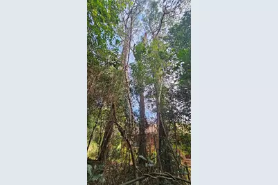 325 Jones Avenue, Macon, GA 31217 - Photo 29