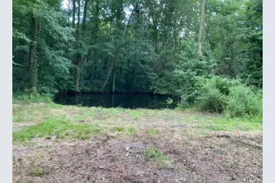 1220 State Route 49, Oglethorpe, GA 31068 - Photo 5