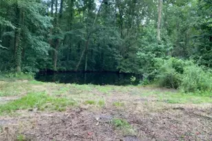 1220 State Route 49, Oglethorpe, GA 31068 - Photo 5