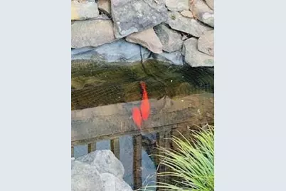 628 Cherokee Trail, Jasper, GA 30153 - Photo 7