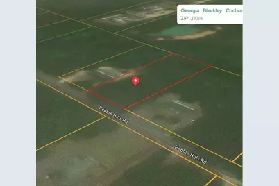 0 Pebble Hills Road, Cochran, GA 31014 - Photo 3