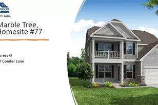 317 Conifer Ln, Ball Ground, GA 30107 - Photo 39