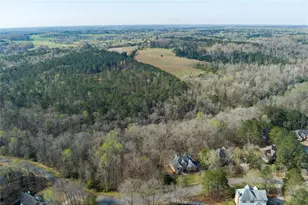 1081 Crown River Pkwy, McDonough, GA 30252 - Photo 7