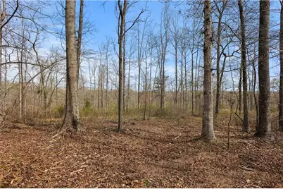 0 Winford Smith Road, Athens, GA 30607 - Photo 9